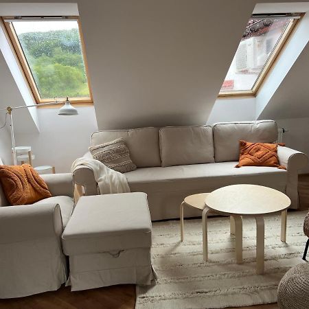 אוסטריצקי דולנה Apartament W Centrum - Nasze Poddasze מראה חיצוני תמונה