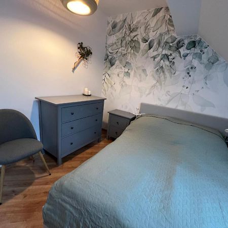 אוסטריצקי דולנה Apartament W Centrum - Nasze Poddasze מראה חיצוני תמונה
