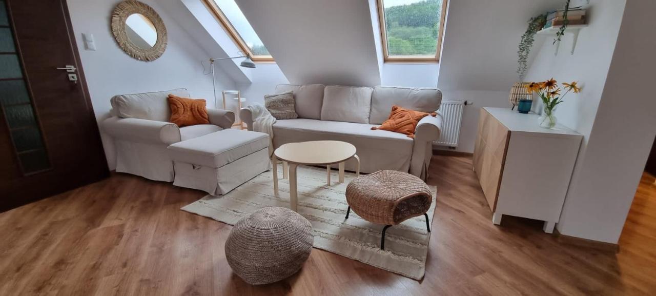 אוסטריצקי דולנה Apartament W Centrum - Nasze Poddasze מראה חיצוני תמונה