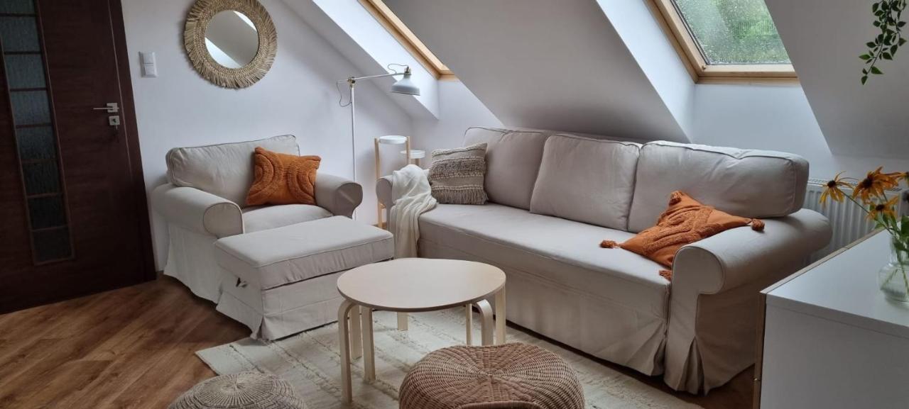 אוסטריצקי דולנה Apartament W Centrum - Nasze Poddasze מראה חיצוני תמונה