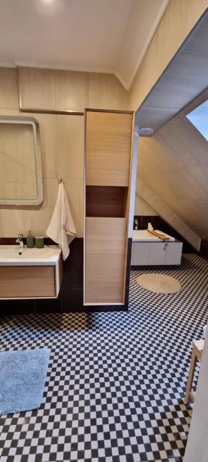 אוסטריצקי דולנה Apartament W Centrum - Nasze Poddasze מראה חיצוני תמונה